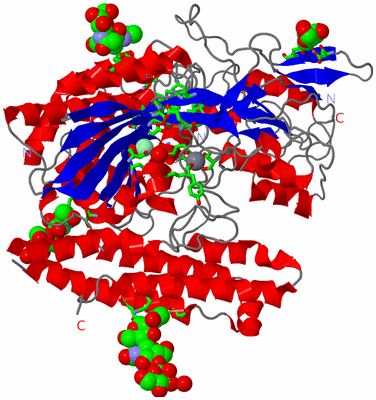 Image Asym. Unit - sites