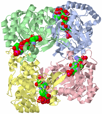 Image Biological Unit 1