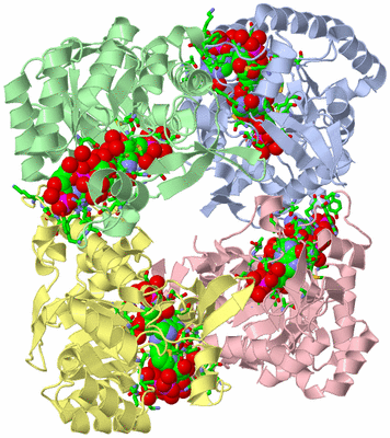 Image Biol. Unit 1 - sites