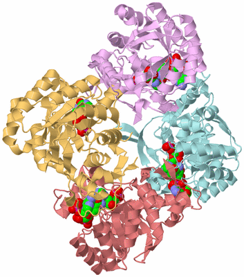 Image Biological Unit 2