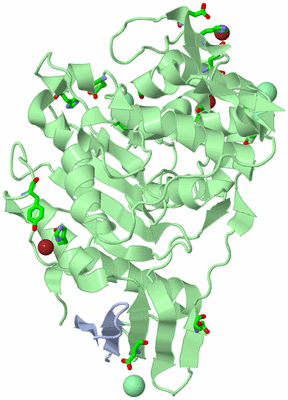 Image Asym./Biol. Unit - sites