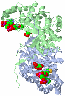 Image Biological Unit 1