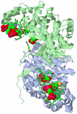 Image Biol. Unit 1 - sites