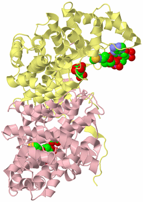 Image Biological Unit 2