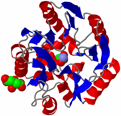 Image Asym./Biol. Unit