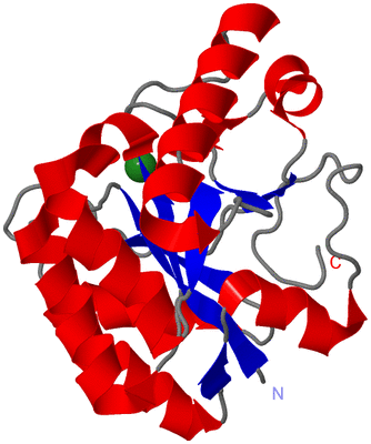 Image Asym./Biol. Unit