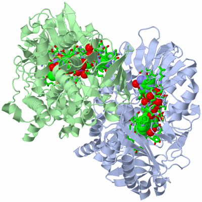 Image Asym./Biol. Unit - sites