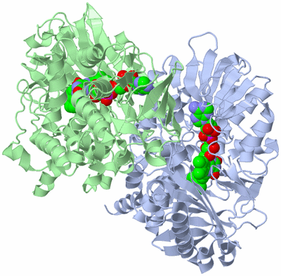 Image Asym./Biol. Unit