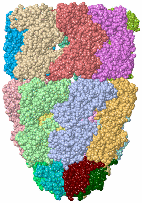 Image Asym./Biol. Unit