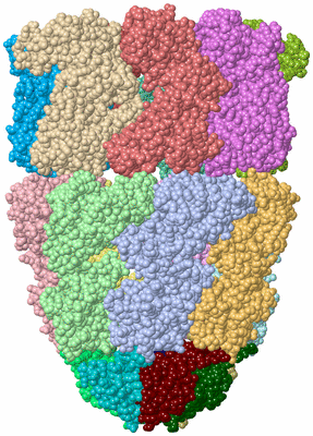 Image Asym./Biol. Unit