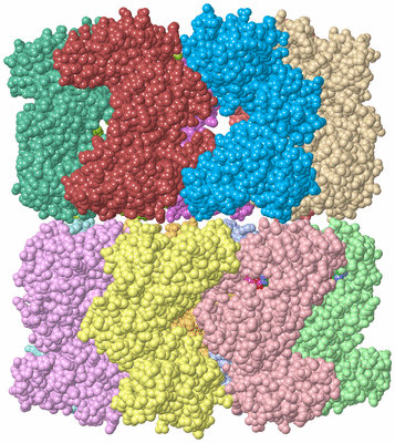 Image Asym./Biol. Unit