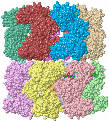 Image Asym./Biol. Unit - sites