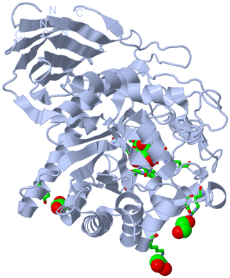 Image Biol. Unit 1 - sites