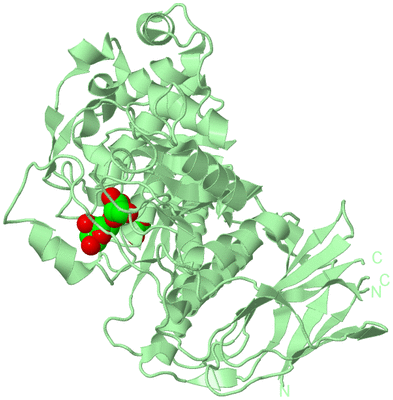 Image Biological Unit 2