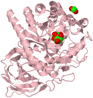 Image Biological Unit 3