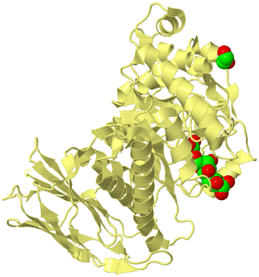 Image Biological Unit 4