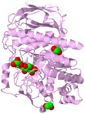 Image Biological Unit 5