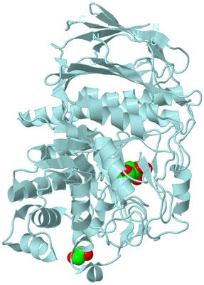 Image Biological Unit 6