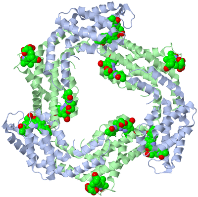 Image Biological Unit 1