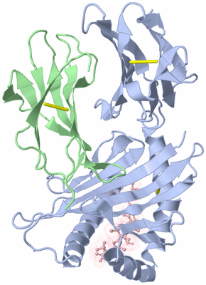 Image Biological Unit 1