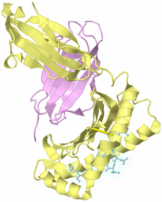 Image Biological Unit 2