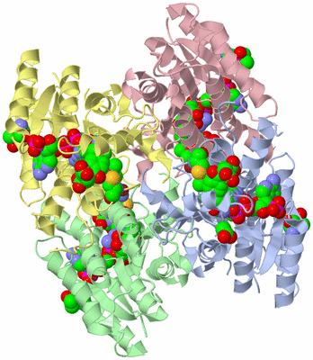 Image Asym./Biol. Unit