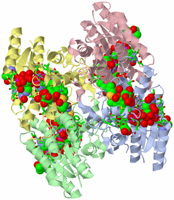 Image Asym./Biol. Unit - sites