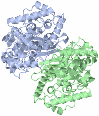 Image Asym./Biol. Unit