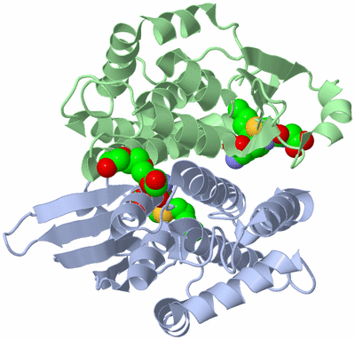 Image Asym./Biol. Unit