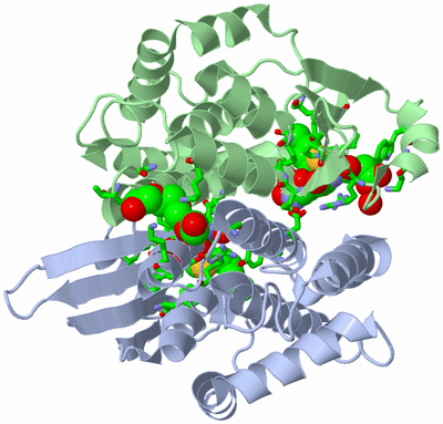 Image Asym./Biol. Unit - sites