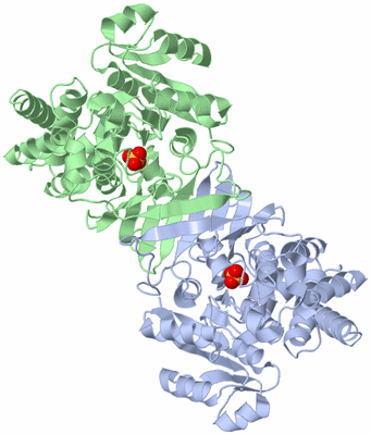 Image Asym./Biol. Unit