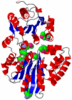 Image Asym./Biol. Unit