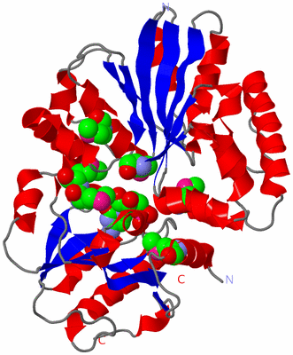 Image Asym./Biol. Unit