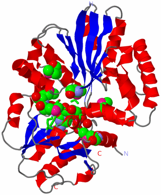 Image Asym./Biol. Unit - sites