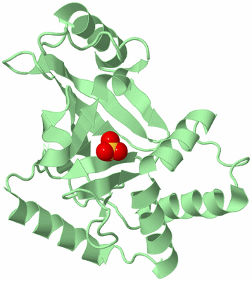 Image Biological Unit 3