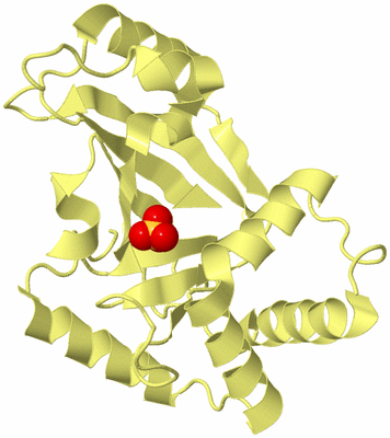 Image Biological Unit 4