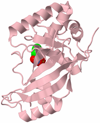 Image Biological Unit 3