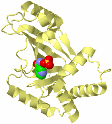 Image Biological Unit 4