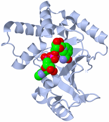 Image Biological Unit 1