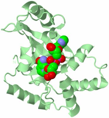 Image Biological Unit 2