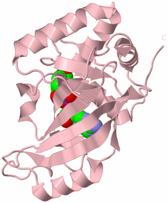 Image Biological Unit 3