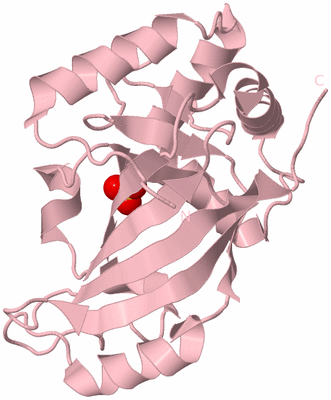 Image Biological Unit 3