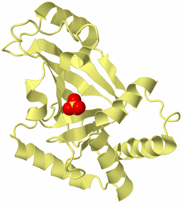 Image Biological Unit 4