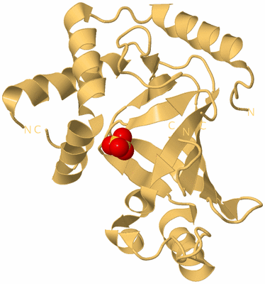 Image Biological Unit 3