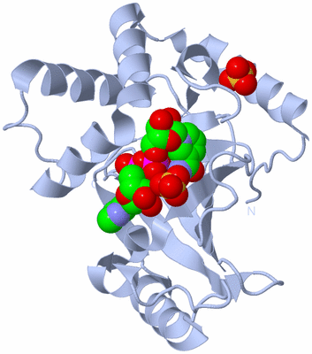 Image Biological Unit 1