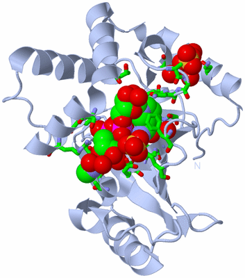 Image Biol. Unit 1 - sites