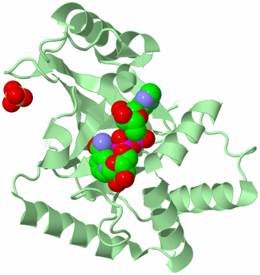 Image Biological Unit 2