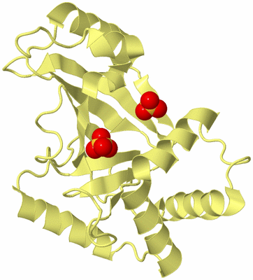 Image Biological Unit 4