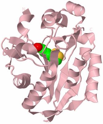 Image Biological Unit 3