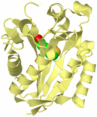 Image Biological Unit 4